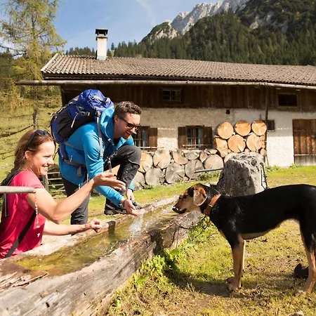 Alpenlodge, 16