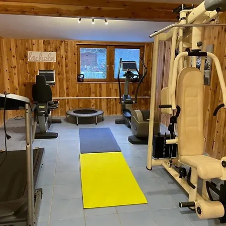 Apartament Alpenlodge, 16 Thiersee